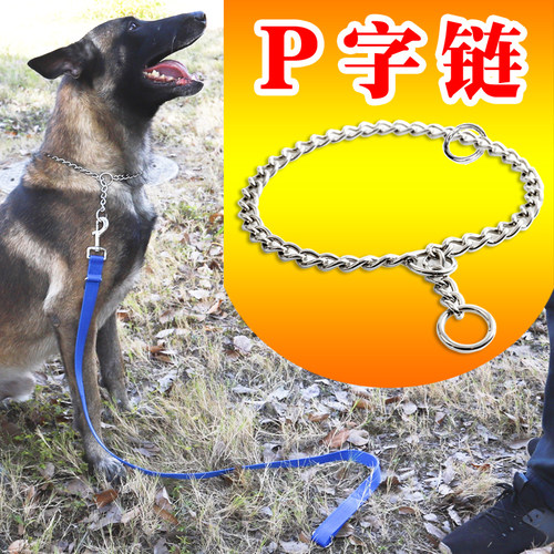 专用p链中大训狗项圈牵引绳