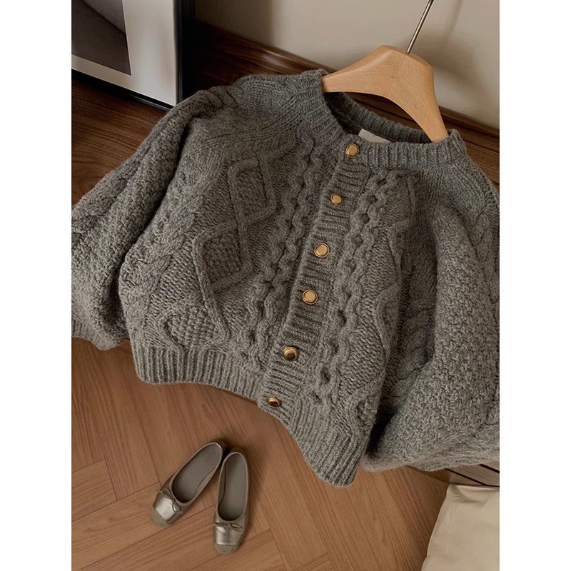 黑色2025新款秋季麻花仿浣熊绒针织毛衣开衫外搭女粗棒针外套上衣