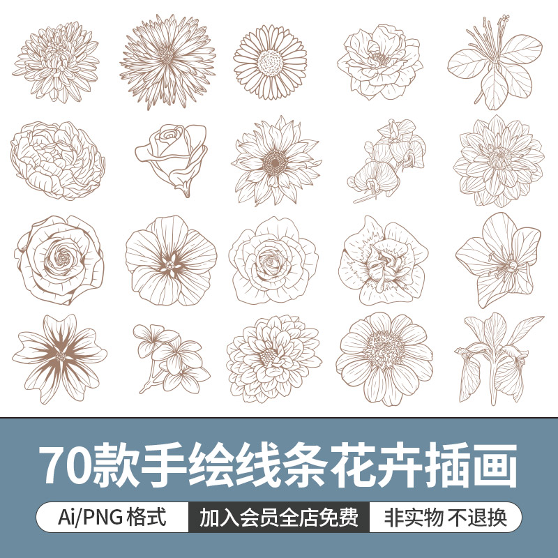 手绘艺术线条描线植物花卉花朵装饰插画素材设计ai矢量图png免扣
