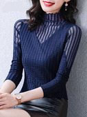 秋冬内搭网纱上衣t恤设计感女小众 女2024新款 高领蕾丝长袖 打底衫