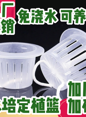 水培定植篮土培植物玻璃瓶水培器皿固根器绿萝发财竹加深固定篮