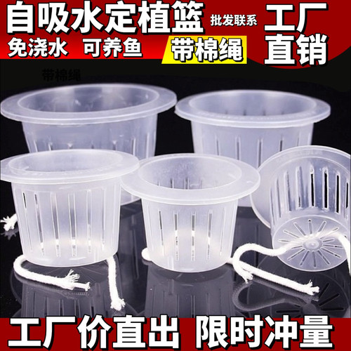 水培定植篮无土栽培蔬菜花卉固根器多肉水培器皿玻璃花瓶固定篮
