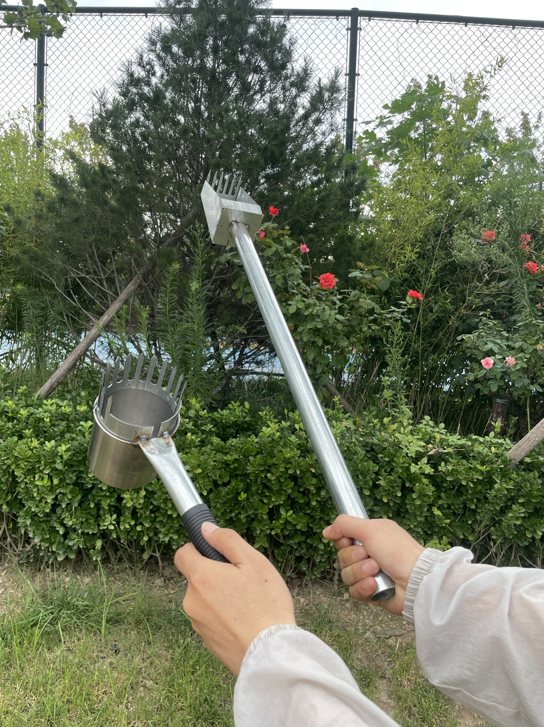 加厚加长新款酸枣不锈钢摘果器采摘采果山枣神器小枣工具不扎手
