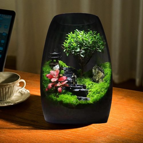 【成功之路】桌面苔藓微景观成品