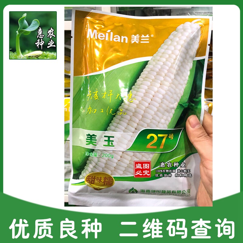 美兰美玉27号白甜糯玉米种籽矮杆大穗加甜糯苞谷种子高产早熟无渣