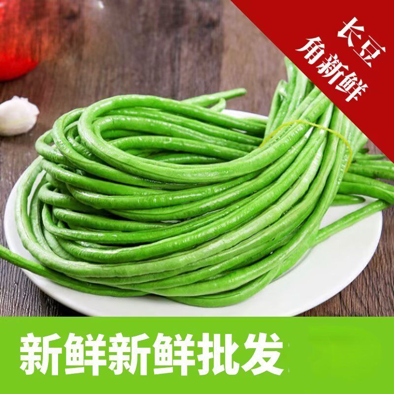新鲜大棚头茬长豆角豇豆农家自种蔬菜青豆角新鲜青豆角长豆角