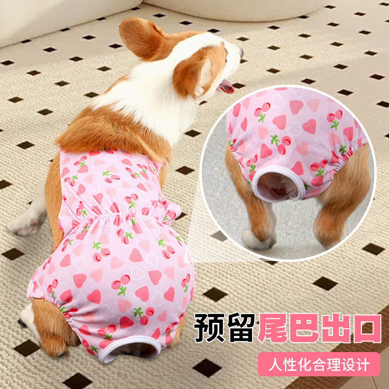 狗狗生理裤月经期卫生巾中大型犬生理裤