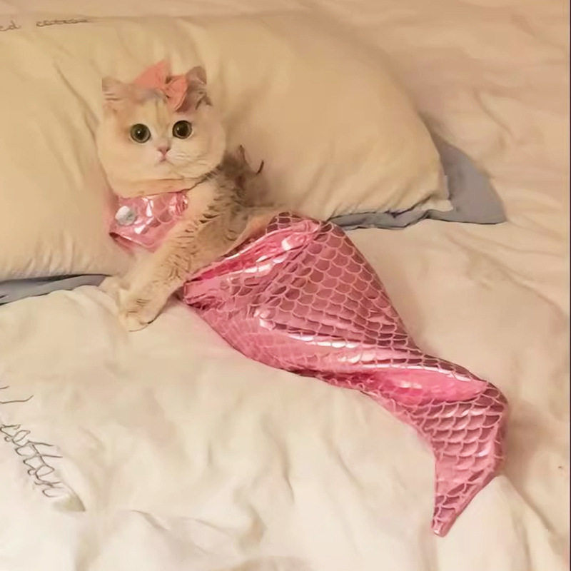 抖音同款猫咪衣服美人鱼搞笑装宠猫宠物服装/雨衣（新
