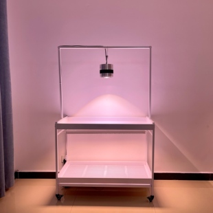 知三月多肉花架可移动阳台落地两层铁艺简约浸盆接水盘自选组合款