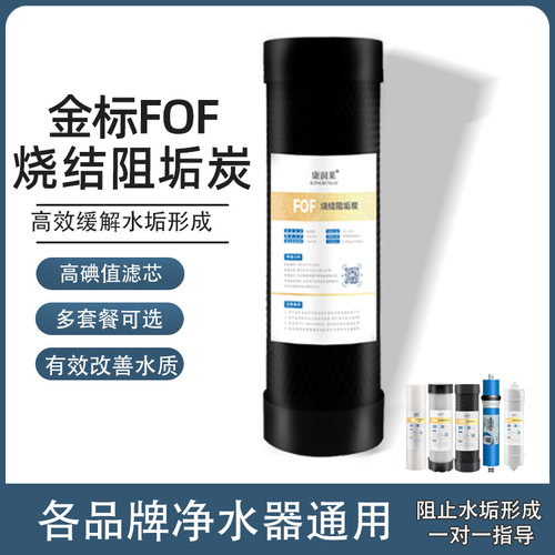 10寸阻垢炭滤芯净水器阻垢压缩炭