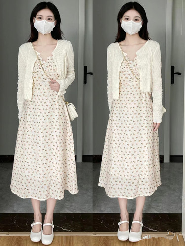 金豆豆家 DZDU8208