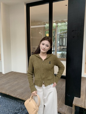 复古经典刺绣软糯泰迪绒连帽拉链针织毛衣开衫短款修身显瘦上身潮