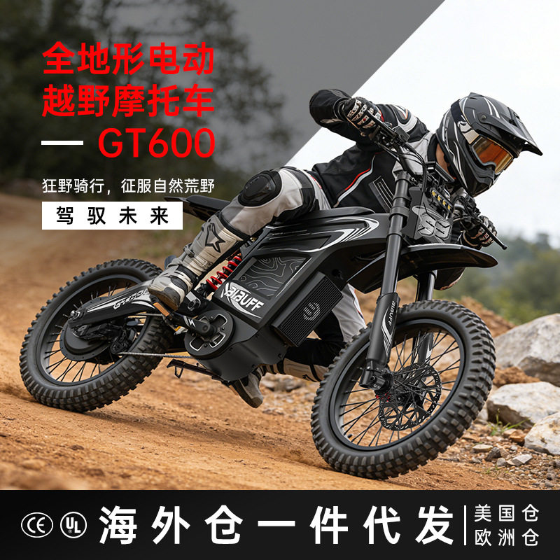 海外仓一件代发电动摩托车源厂私模现货城市代步车两轮越野山地车