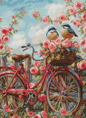 Luca-S BU5061玫瑰自行车 十字绣 saga格式XSD重绘源文件电子图纸