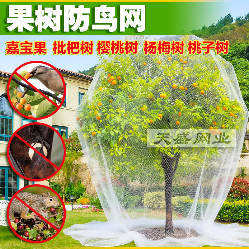 果树防鸟网农用防鸟罩嘉宝果枇杷樱桃蓝莓果园大棚尼龙防护网阳台
