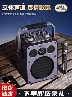 不见不散蓝牙音箱流浪者d5音响专业演出户外k歌音箱大音量广场舞