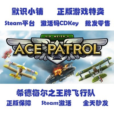 steam正版 Sid Meier’s Ace Patrol席德梅尔王牌飞行队全球key