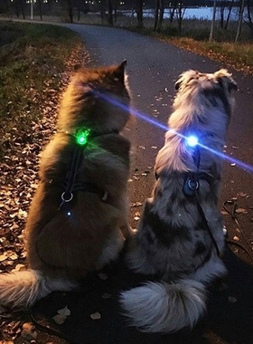 狗狗夜间防走失遛狗灯防丢神器宠物用品项圈发光吊坠led夜光铃铛