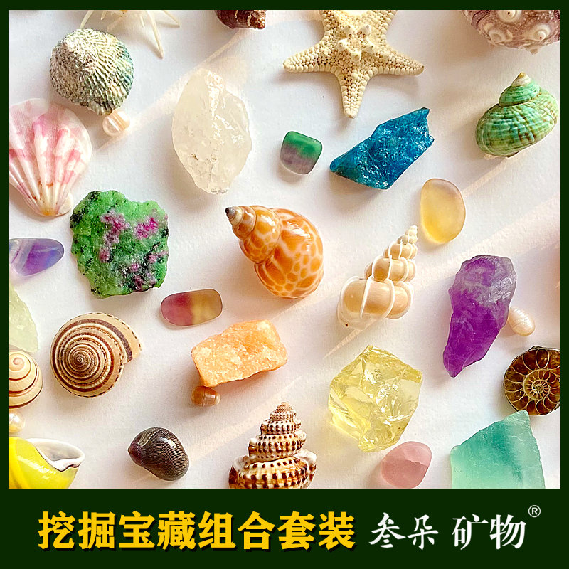 diy海螺寻宝藏玩具套装生日礼物