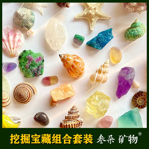 diy海螺寻宝藏玩具套装生日礼物