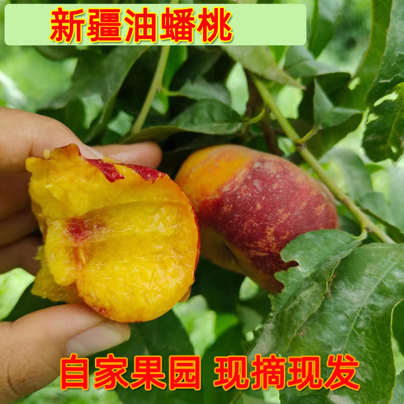 3斤88新疆油蟠桃非毛蟠桃