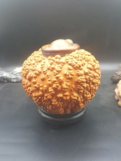 天一阁精品红润包浆异形满天星疙瘩葫芦茶叶罐