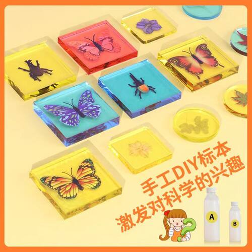 蝴蝶标本制作工具儿童科学实验套装手工diy材料昆虫工具全套展示