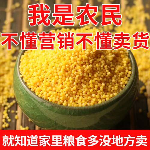 山西小米沁州黄小米5斤装小黄米新米小米粥五谷杂粮宝宝米月子米