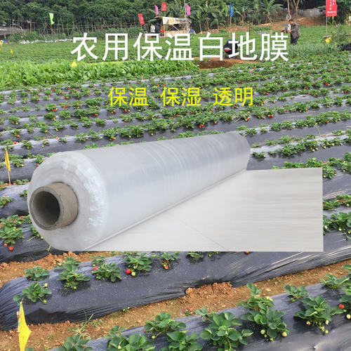 白地膜农用白膜黑膜微膜保温保湿蔬菜大棚种植混凝土保护塑料薄膜