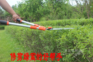 园林工具花剪刀修剪树枝果树剪子草坪绿篱剪园艺修枝剪伸缩加长型