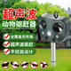 跨境太阳能驱赶器驱鼠器驱狗器超声波动物驱赶器驱鸟器批发