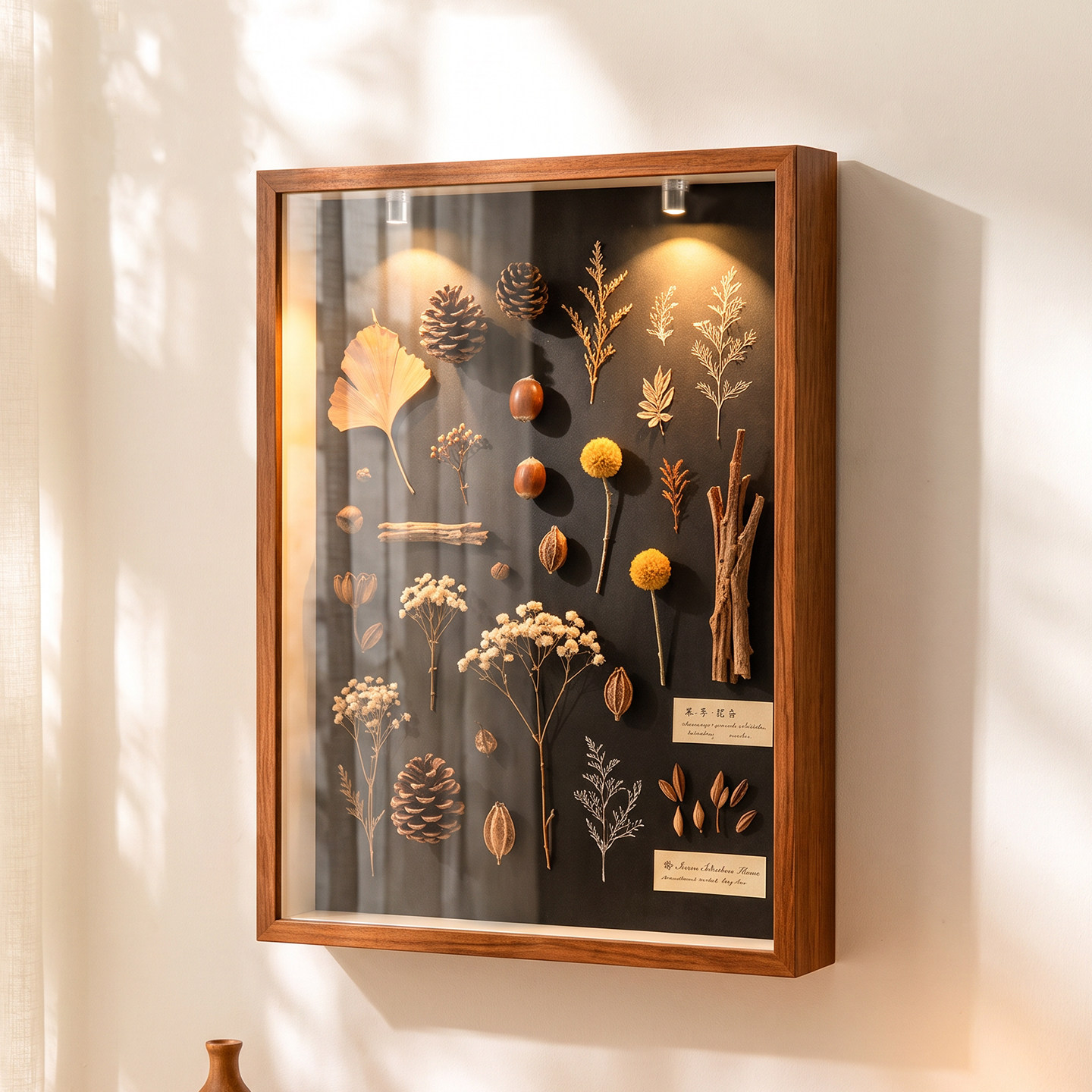 立体中空标本相框昆虫植物干花手工diy贝壳蝴蝶玻璃摆台画框摆件