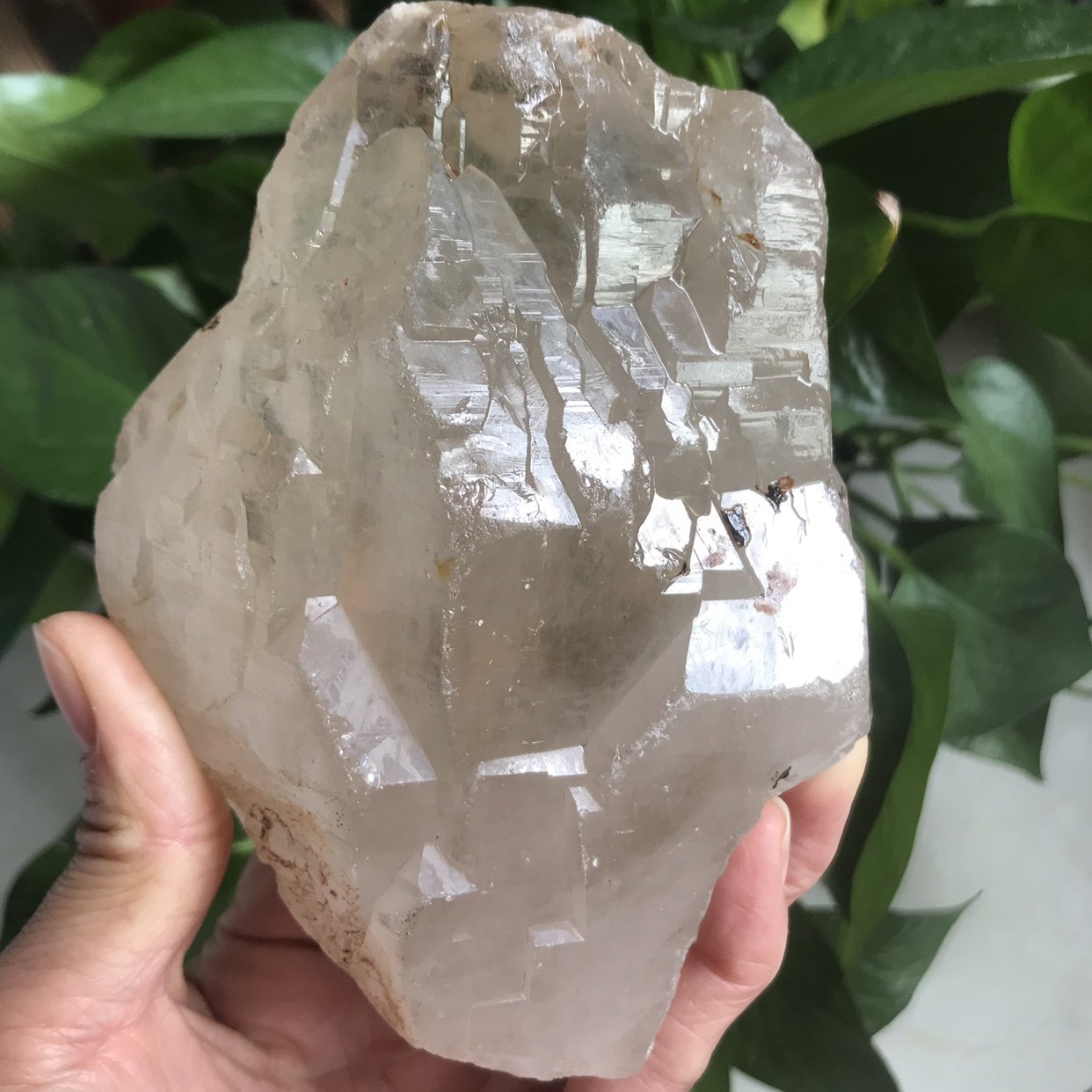 마다가스카르 천연 화이트 크리스탈 거친 돌 장식품 밝은 피부 백본 크리스탈 홈 장식