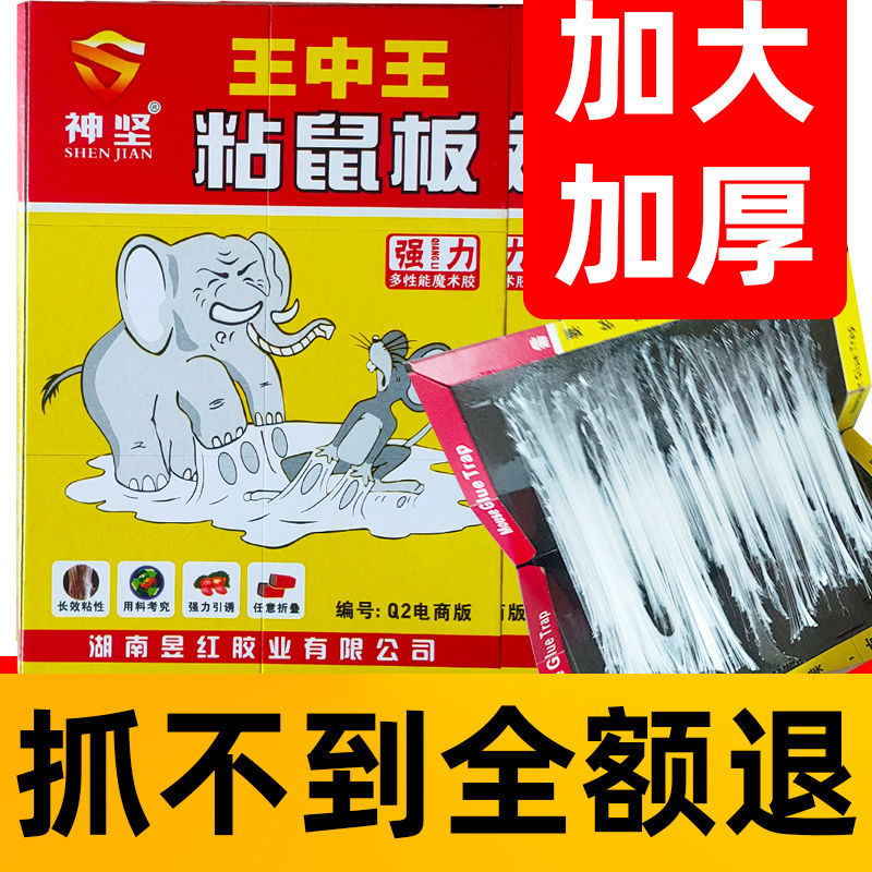 神坚粘鼠板王中王强力黏胶餐饮店