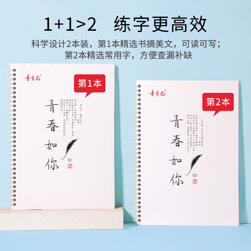章紫光手写字帖成人速成练字帖本男女生字体钢笔硬笔书法临摹高雅