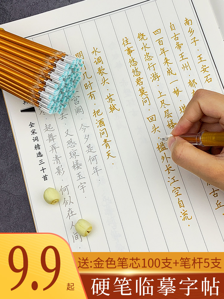 手抄本描红练字临摹硬笔字帖抄写本字贴楷书成人练字帖套装