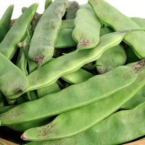 新鲜深圳现货东北特产价格油豆角