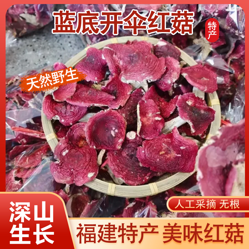 福建红菇货野生干货三明正宗天然蓝底开伞月子红菌菇炖汤营养煲汤