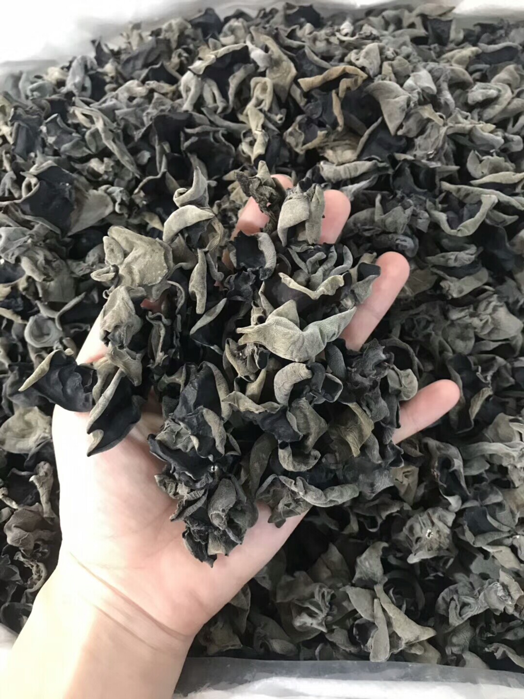 东北黑木耳干货特产小碗耳肉厚木耳鼠耳秋木耳无根农家煲汤食材