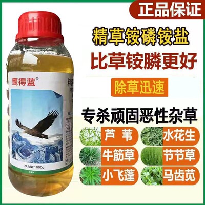 批发鹰德蓝精草铵膦铵盐除草剂柑橘园果园荒地田埂除草剂恶性杂草