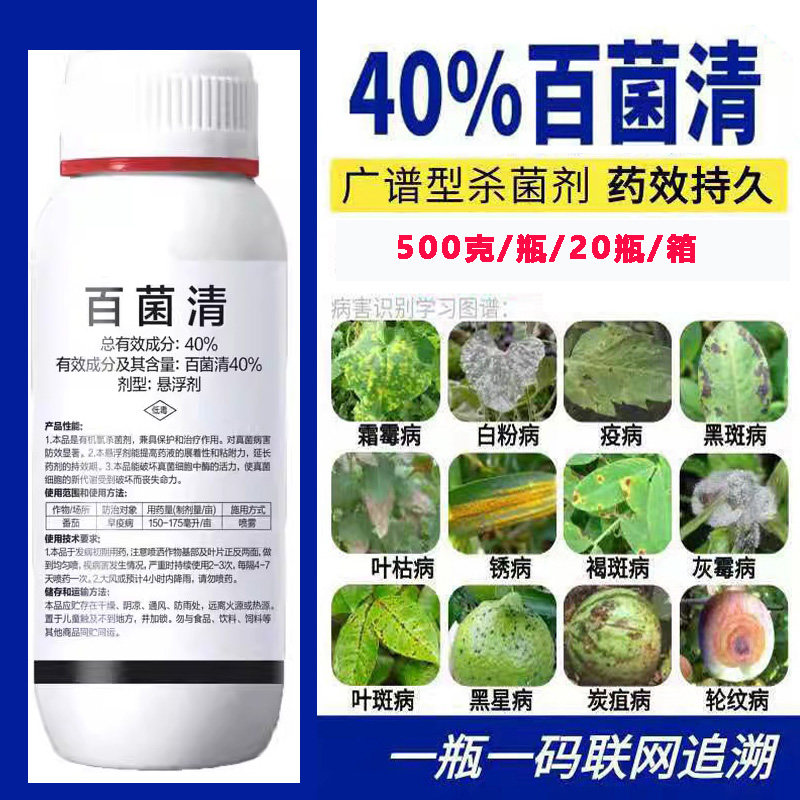 40%百菌清杀菌剂番茄早疫病蔬菜农药杀菌剂百菌清