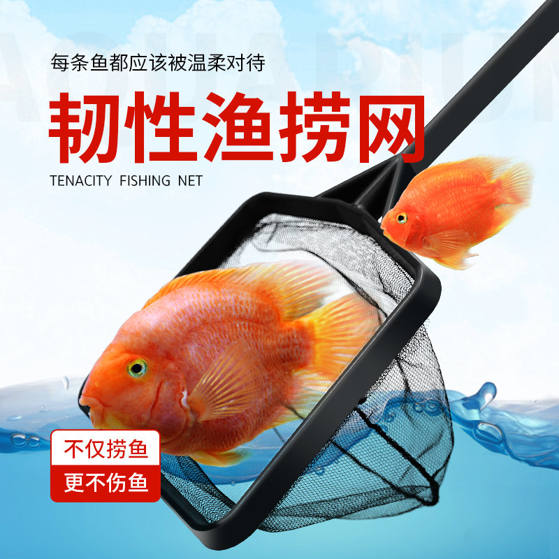 鱼缸捞网 鱼捞网 鱼缸手捞网手抄网捞鱼网 加固型塑胶网不生锈