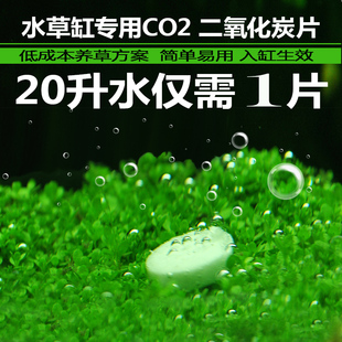 饰活体水草造景diy CO2片鱼缸造景水草鱼缸二氧化碳片溶水型鱼缸装