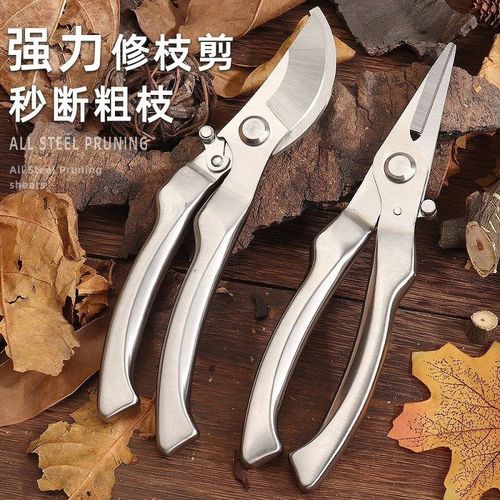 德国园艺剪刀修枝剪家用园林修花卉果树剪树枝专用省力摘果剪