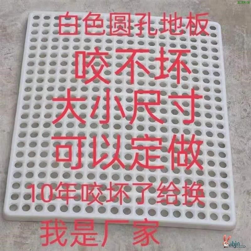 宠物脚垫兔笼猫笼防卡脚网格狗笼垫板垫脚板狗狗笼子专用底部垫子,宠物/宠物食品及用品,兔兔脚垫,淘宝优惠券,粉丝福利购,淘宝优惠卷