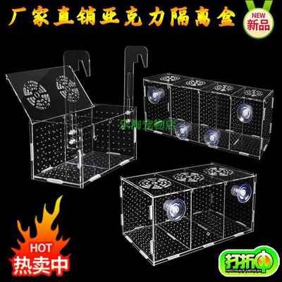 鱼鱼宝宝繁殖箱水族箱隔离盒小鱼幼鱼鱼苗海缸育苗挂钩培育单