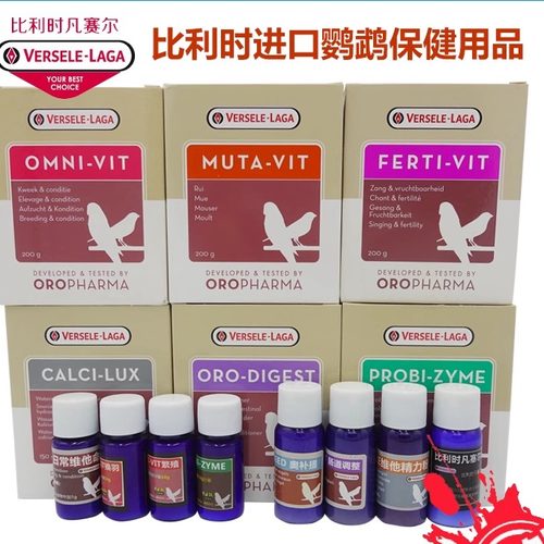 比利时凡赛尔日常换羽散装鹦鹉