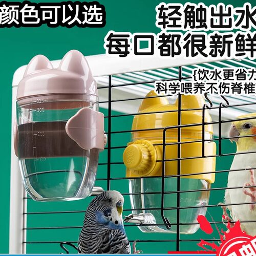 鹦鹉博士胖熊水壶饮水器撞针水壶