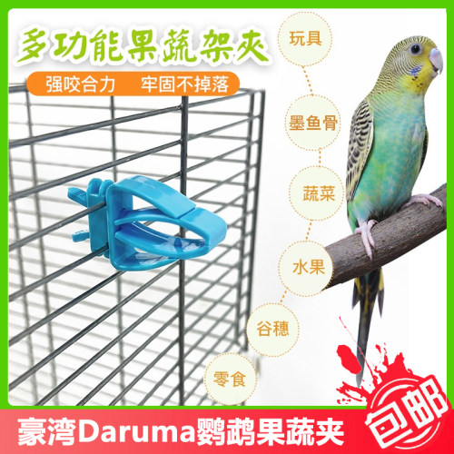 DARUMA达鲁玛鹦鹉蔬菜水果夹子