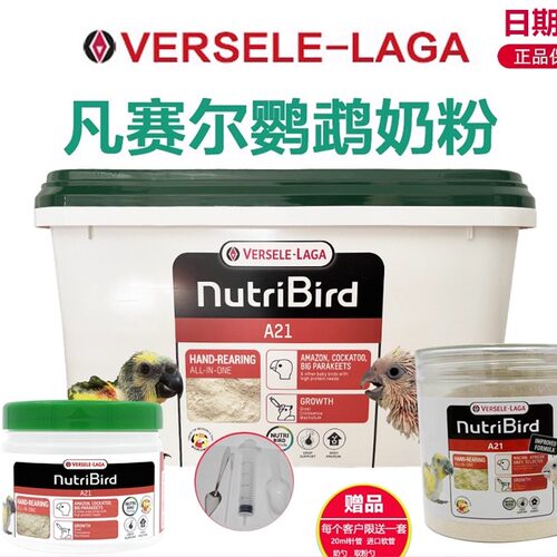 比利时凡赛尔鹦鹉幼鸟散装低脂